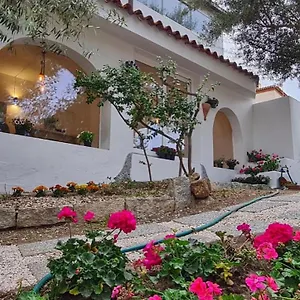 Affittacamere Il Salice, Olbia